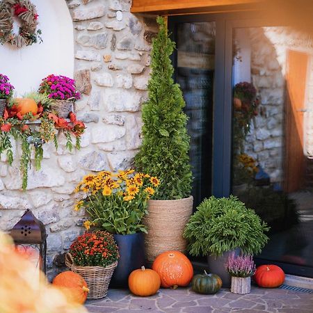 Farma Frantisek Hotel Stachy Kültér fotó
