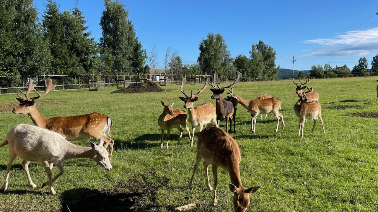 Farma Frantisek Hotel Stachy Kültér fotó