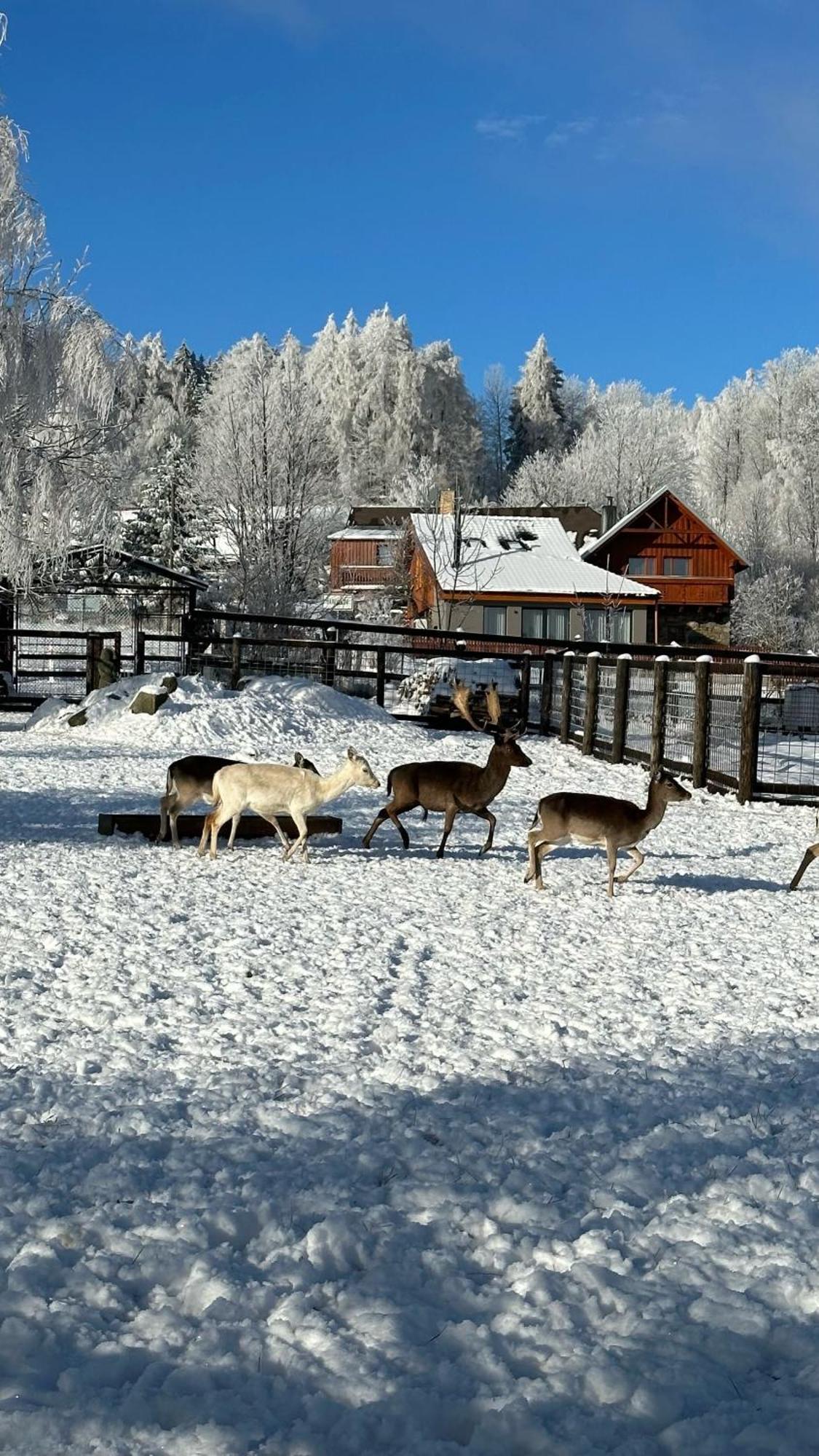 Farma Frantisek Hotel Stachy Kültér fotó