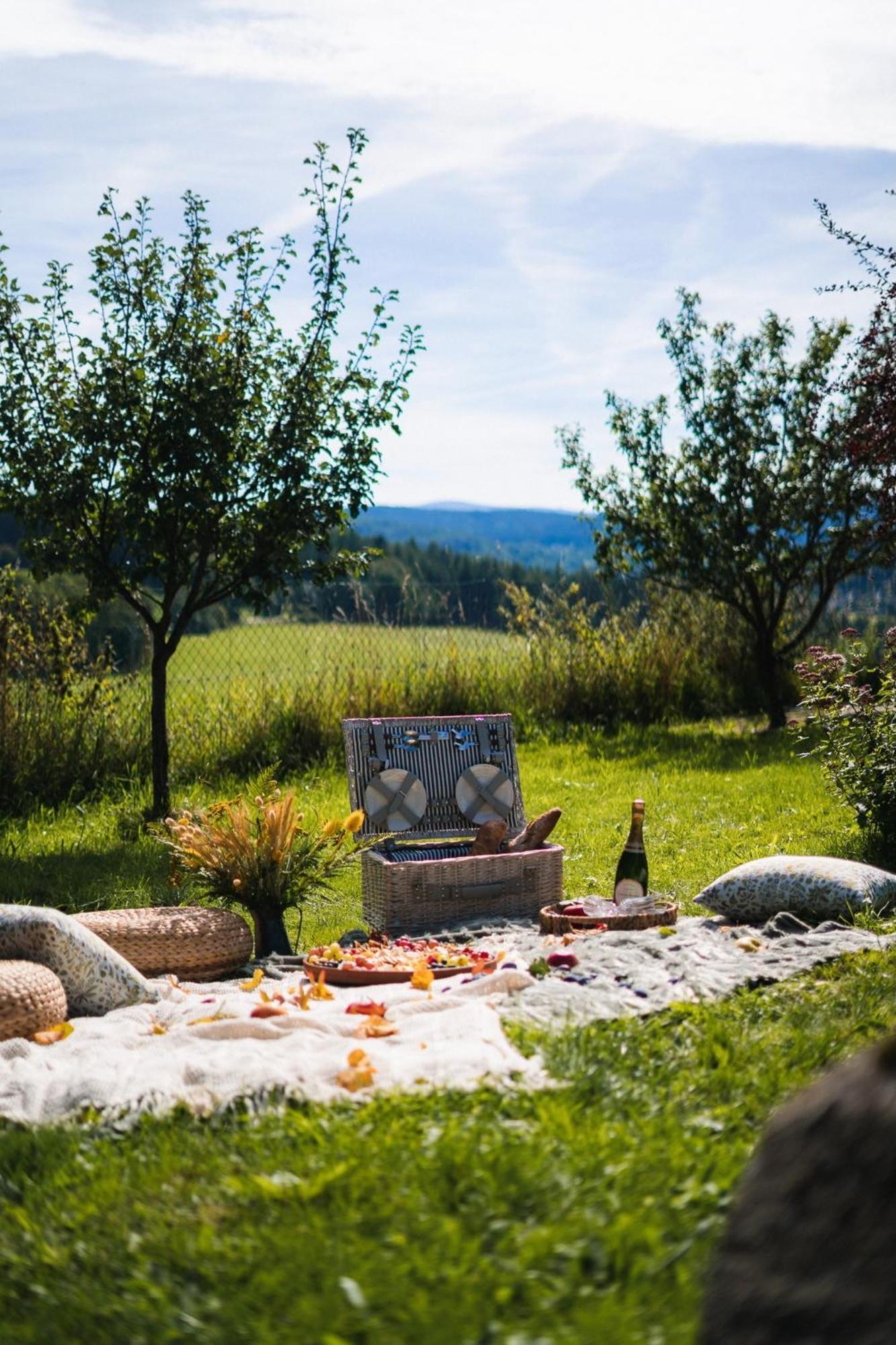 Farma Frantisek Hotel Stachy Kültér fotó