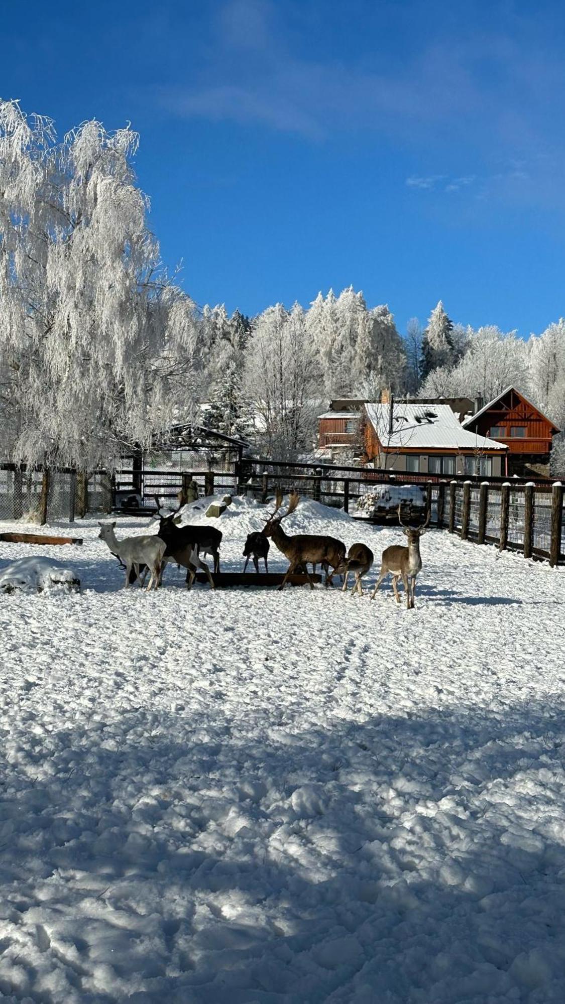 Farma Frantisek Hotel Stachy Kültér fotó