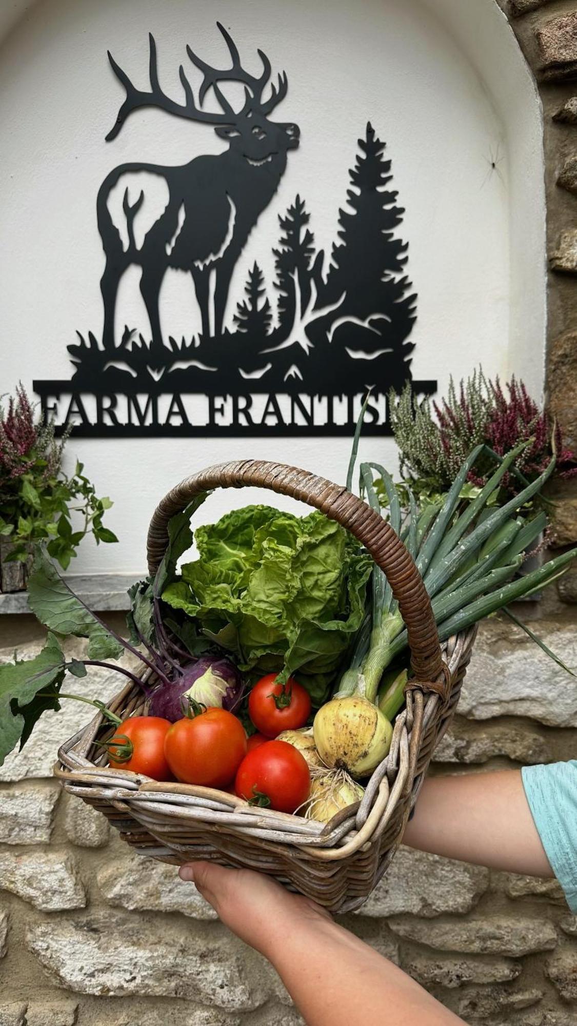 Farma Frantisek Hotel Stachy Kültér fotó